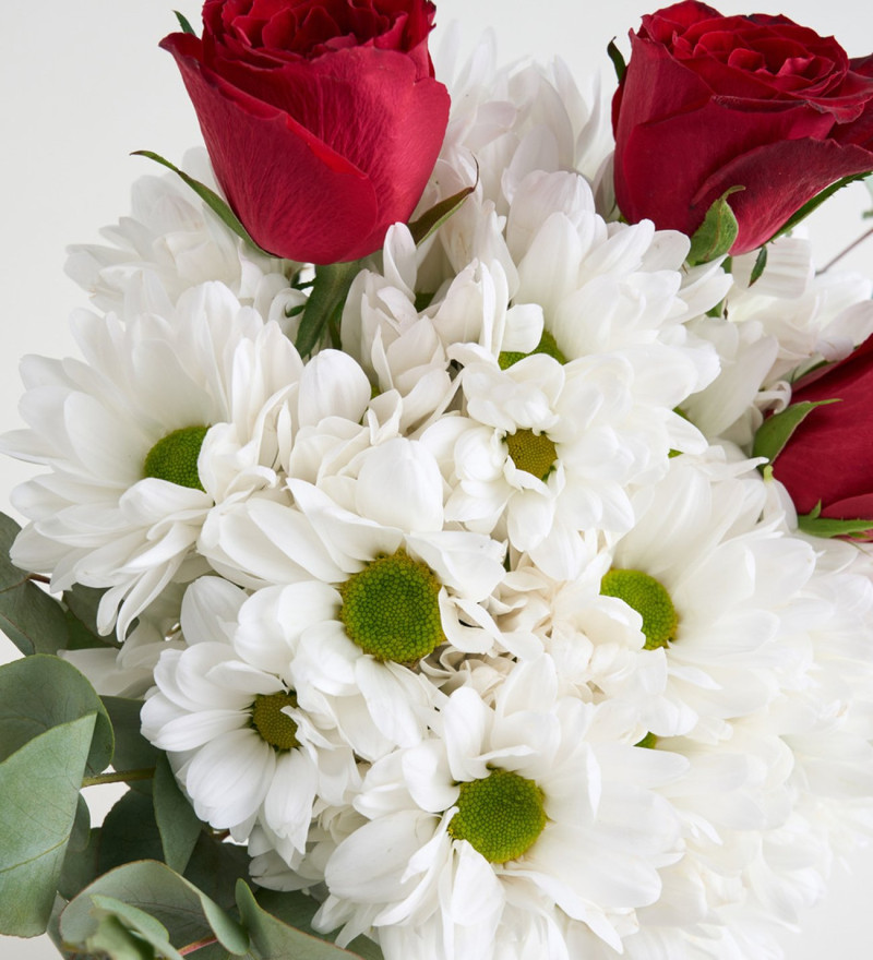 Bej Vazoda Beyaz Papatyalar & Kırmızı Güller