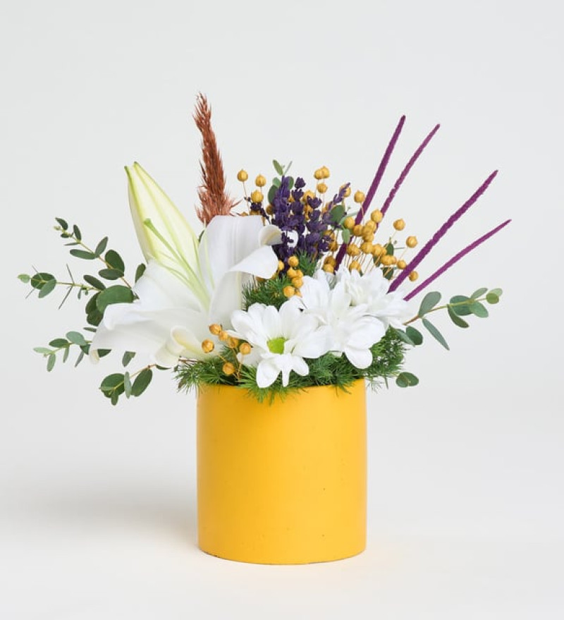  Sarı Saksıda Beyaz Lilyum ve Beyaz Papatyalar