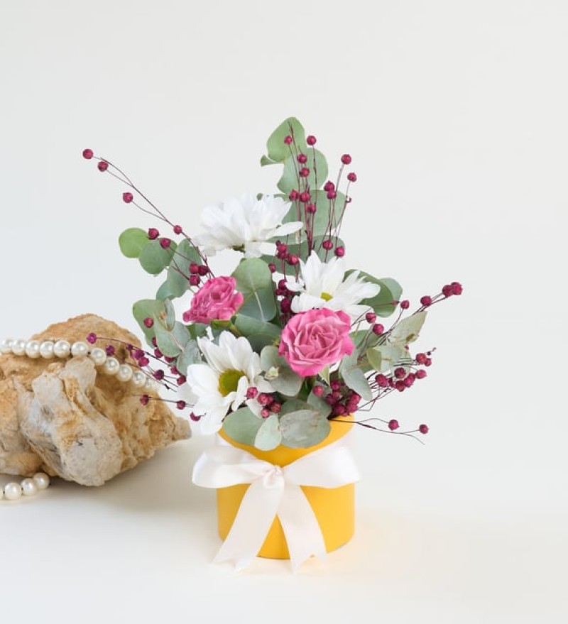 Sarı Saksıda Pembe Güller ve Beyaz Papatyalar